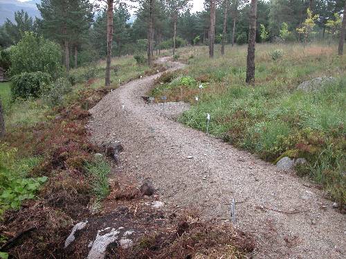 Vårstien under opparbeiding